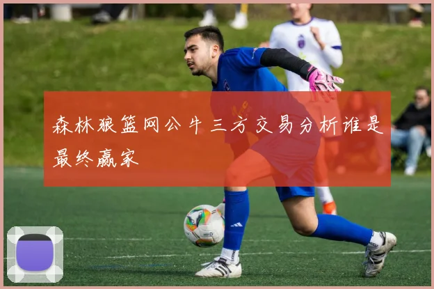 森林狼篮网公牛三方交易分析谁是最终赢家