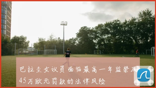 巴拉圭女议员面临最高一年监禁及45万欧元罚款的法律风险