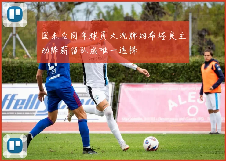 国米合同年球员大洗牌姆希塔良主动降薪留队成唯一选择